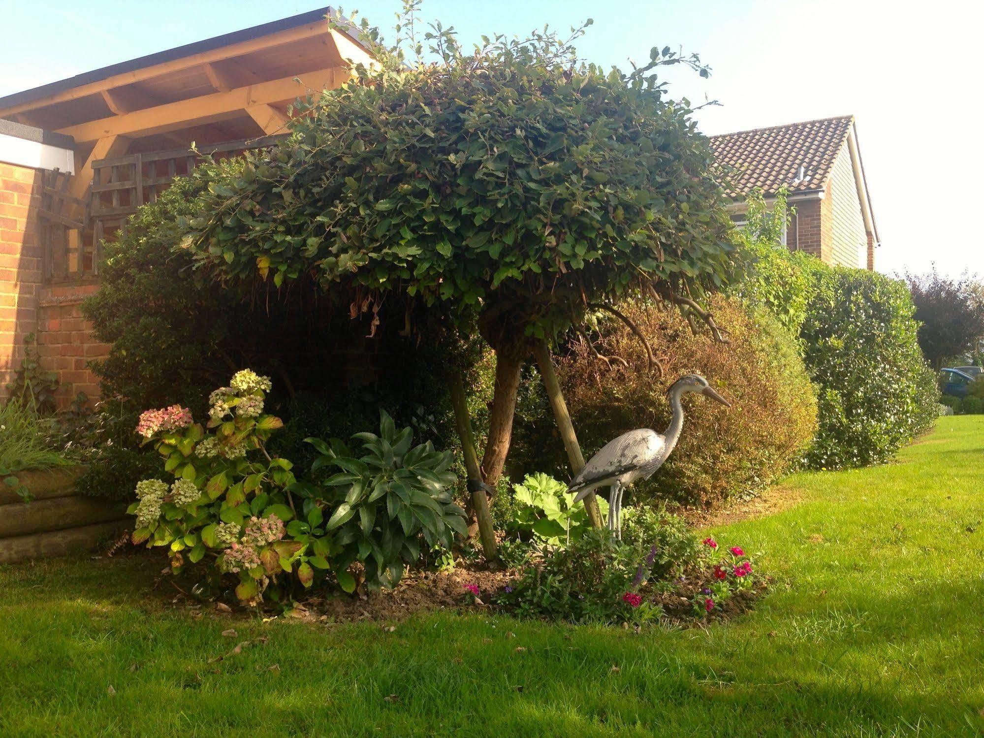 מרלו Herons Nest B&B מראה חיצוני תמונה